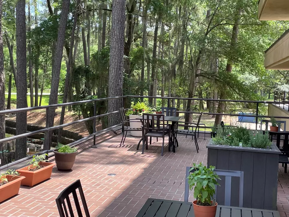 The pine-shaded patio